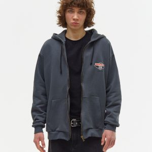 Толстовка Anteater Phat Zip