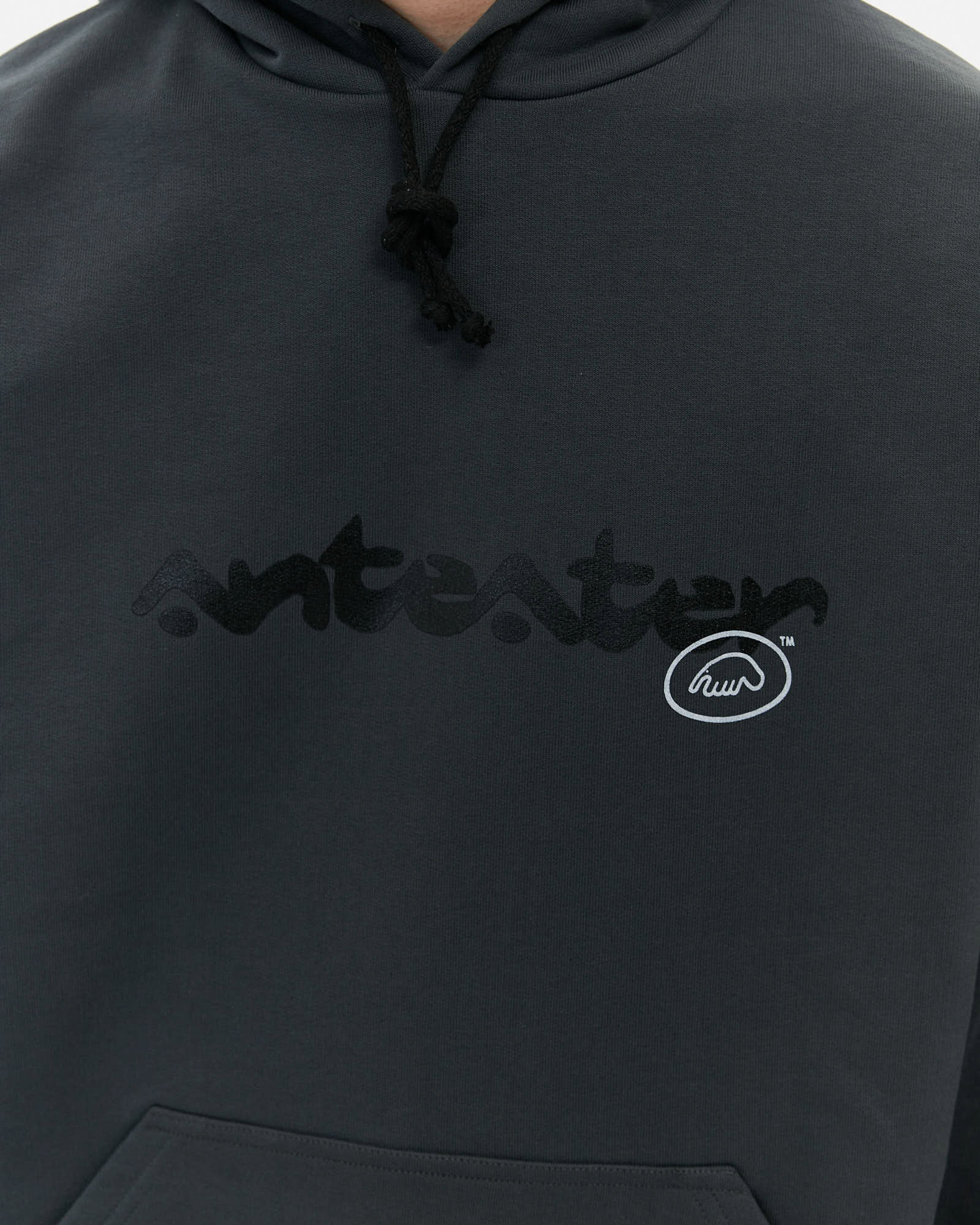 Толстовка Anteater Phat Hoodie — изображение 4