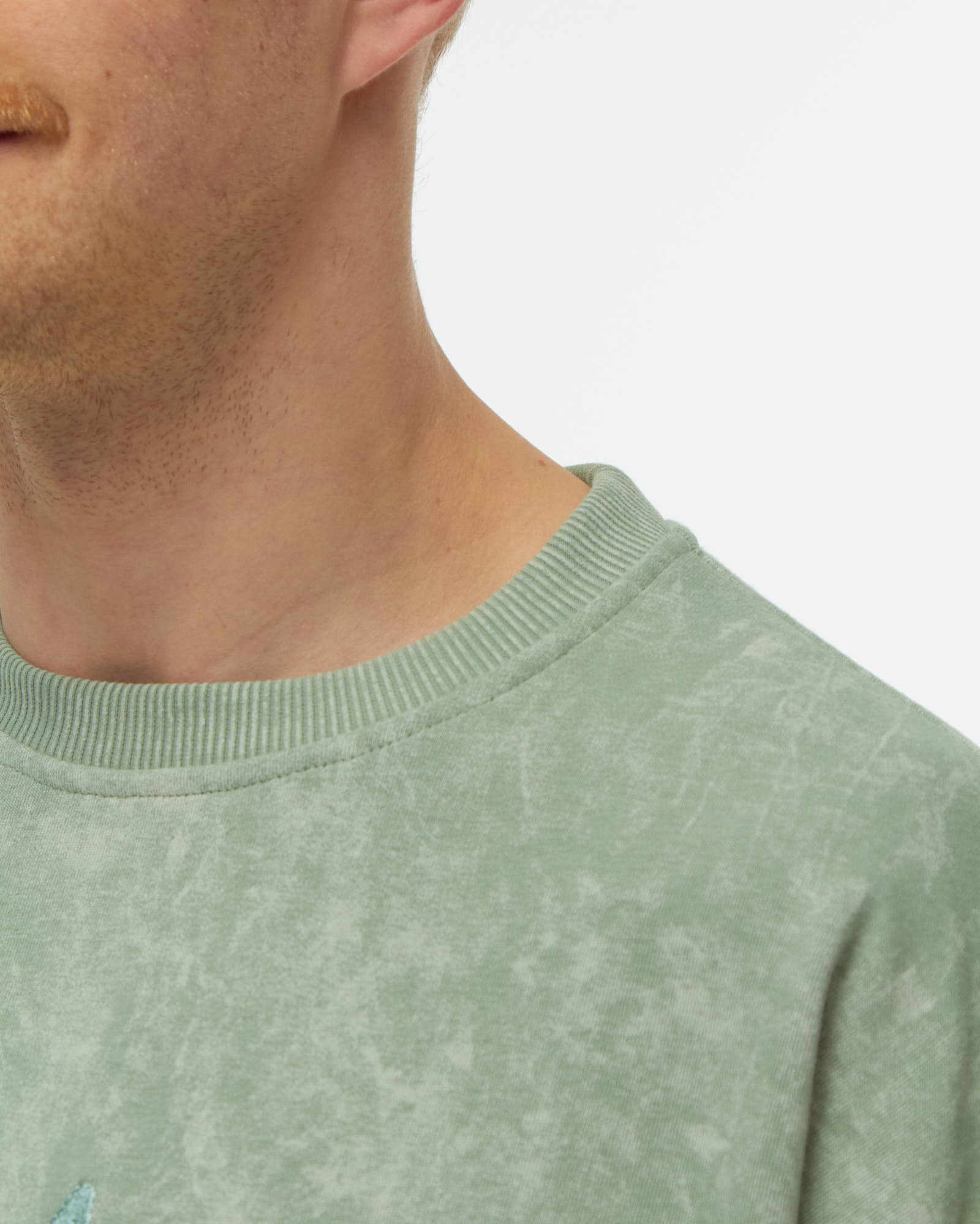 Толстовка Anteater Crewneck — изображение 4