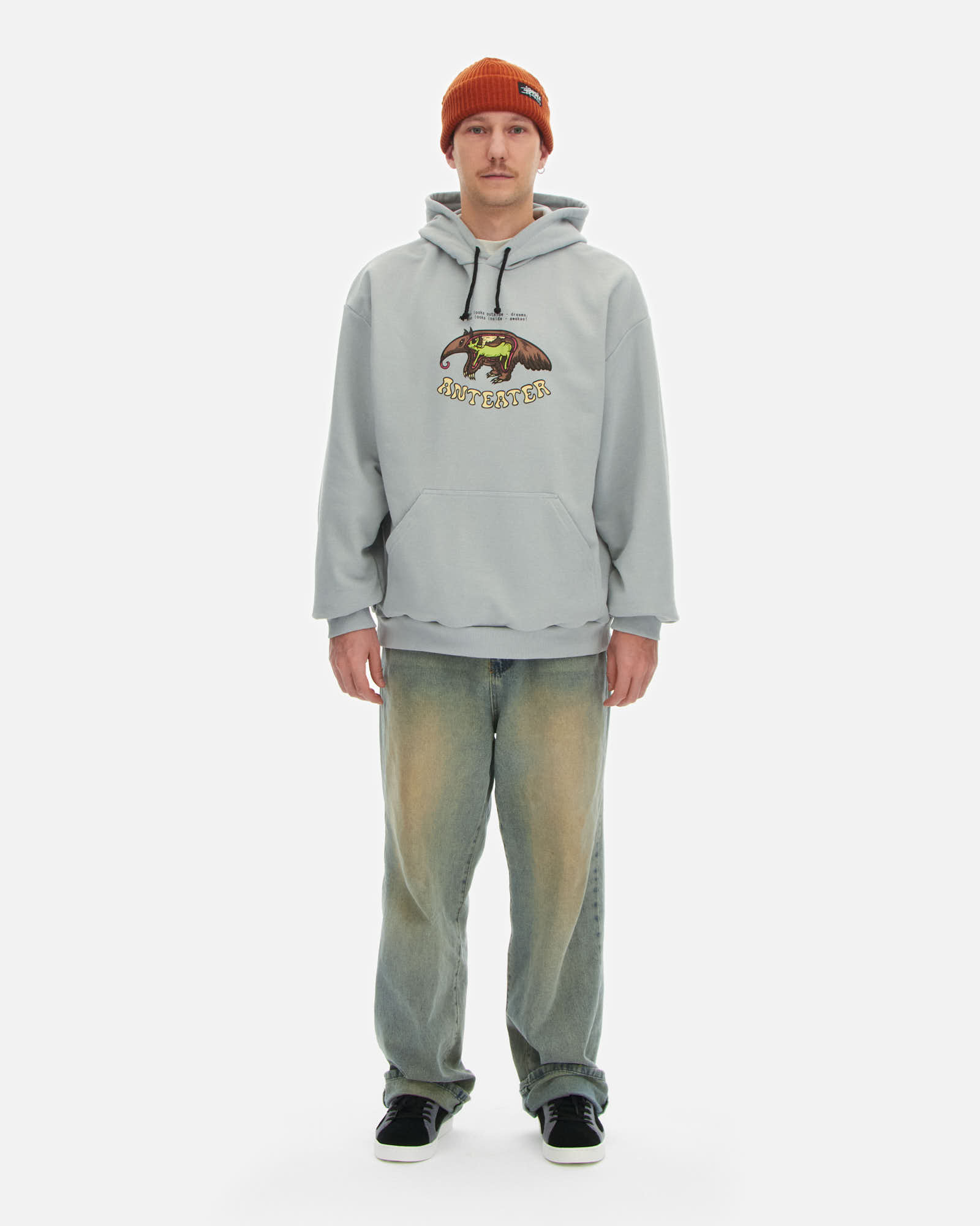 Толстовка Anteater Hoodie — изображение 5