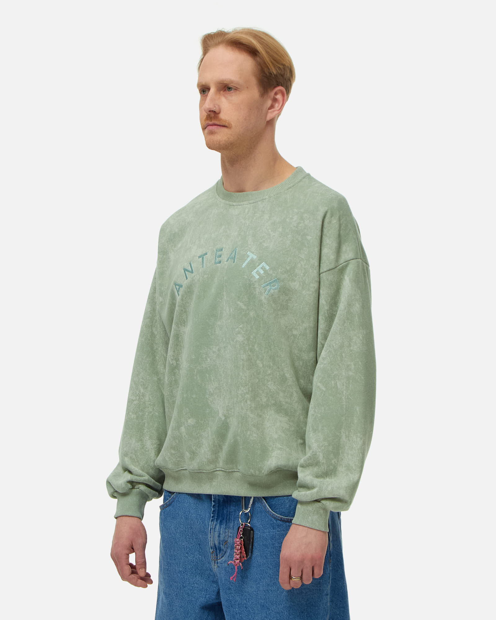 Толстовка Anteater Crewneck — изображение 2
