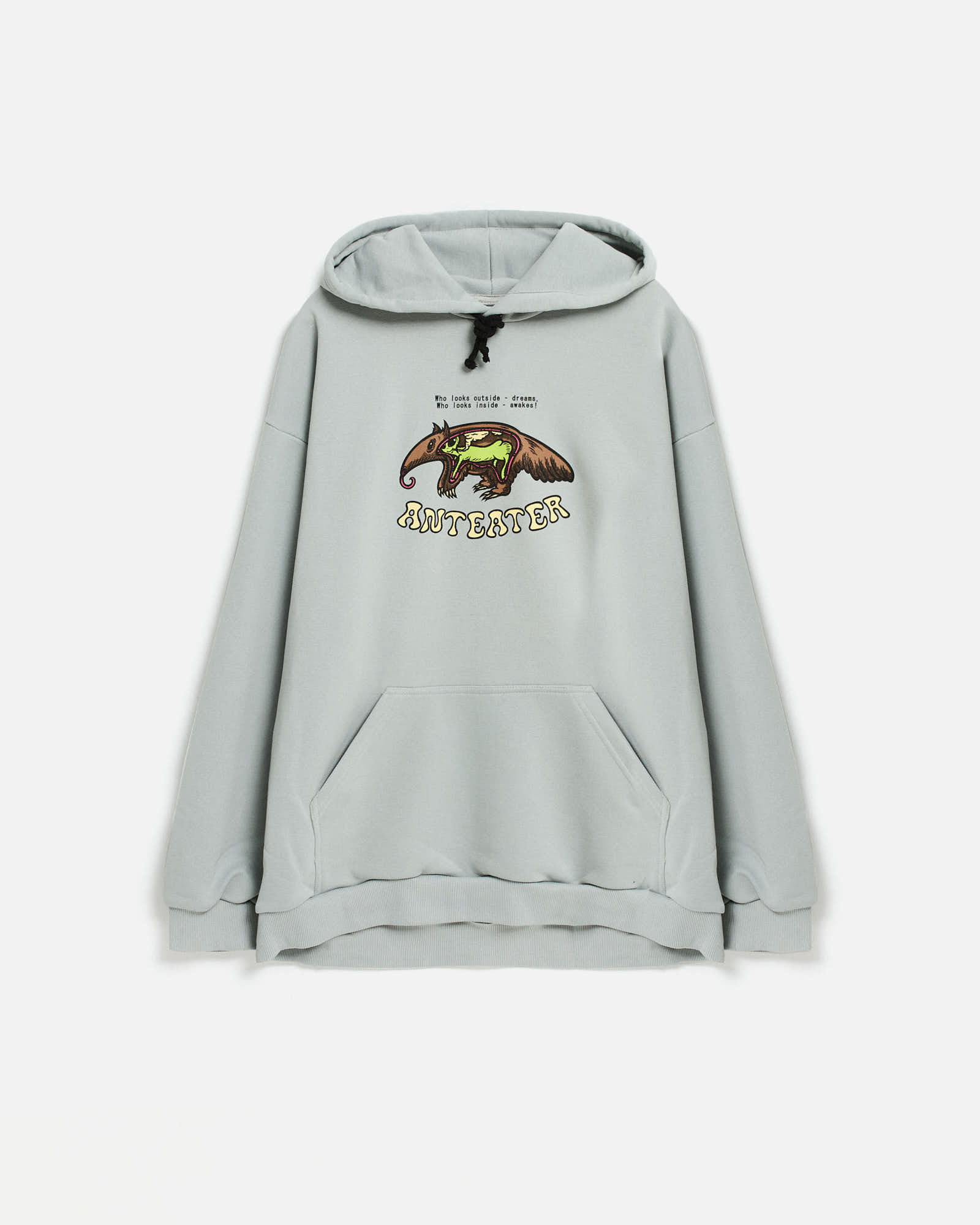 Толстовка Anteater Hoodie — изображение 7