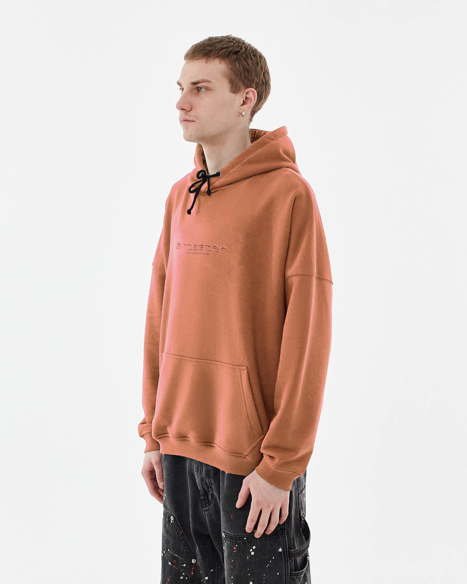 Толстовка Anteater Hoodie — изображение 2
