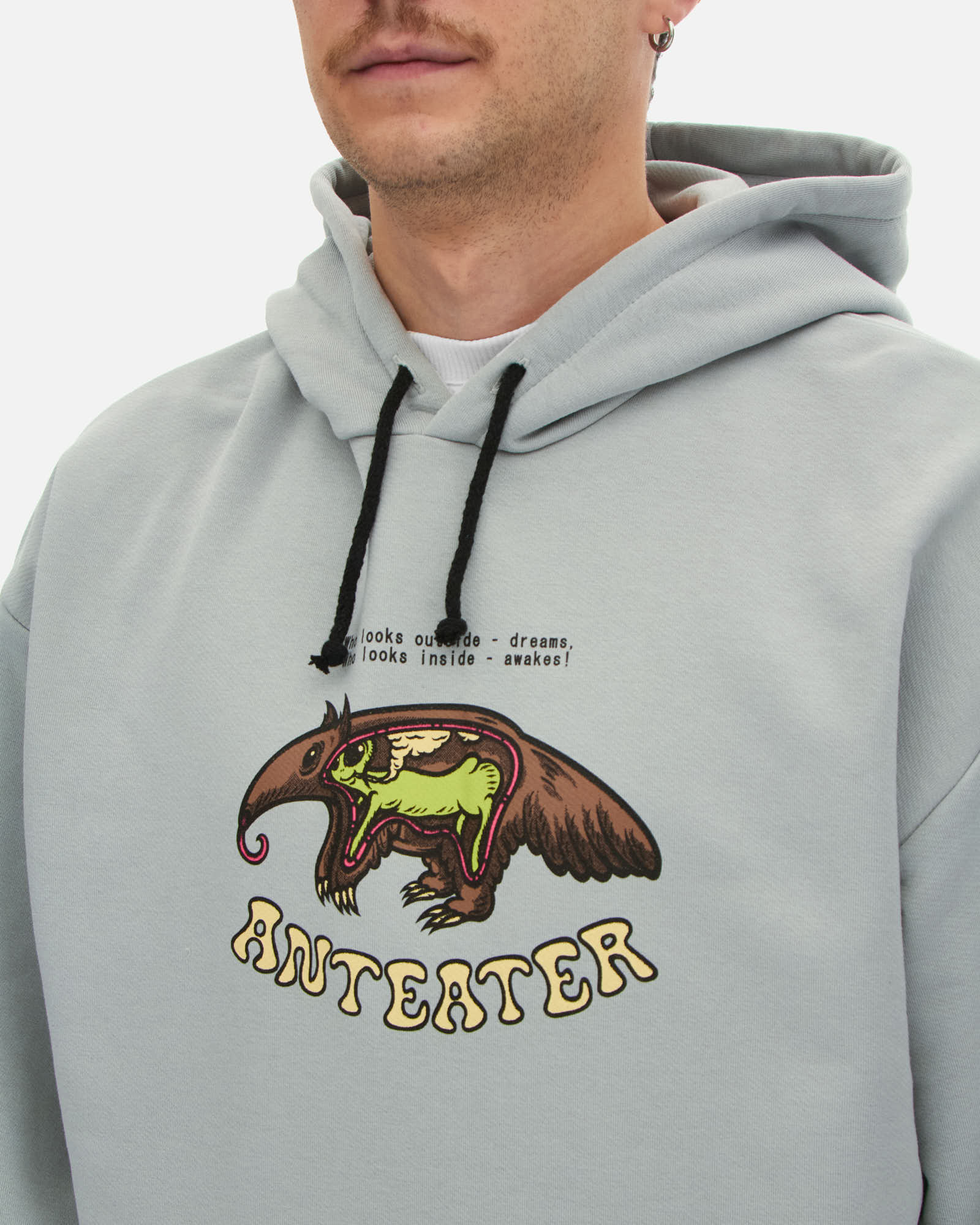 Толстовка Anteater Hoodie — изображение 4