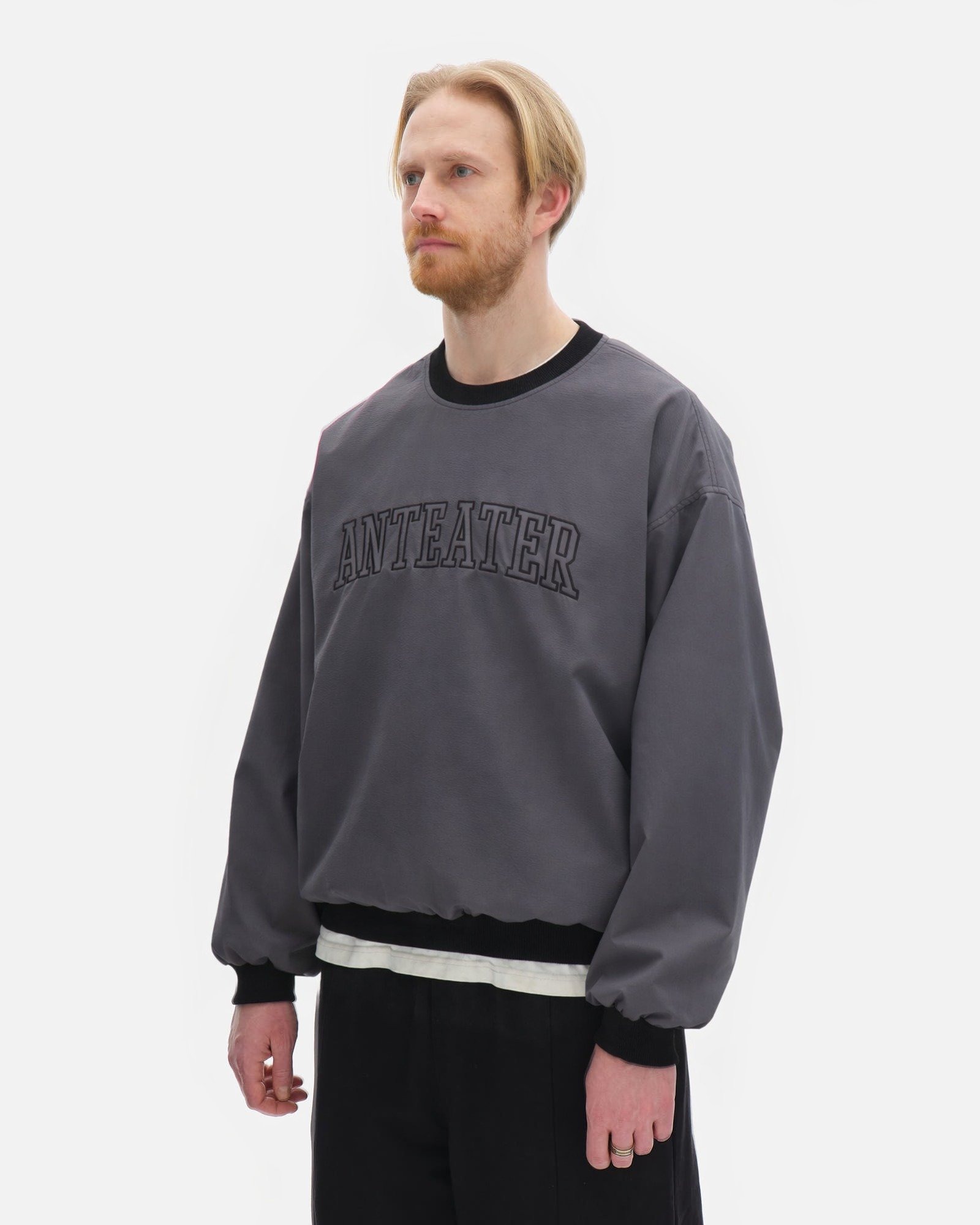 Толстовка Anteater Jersey — изображение 2