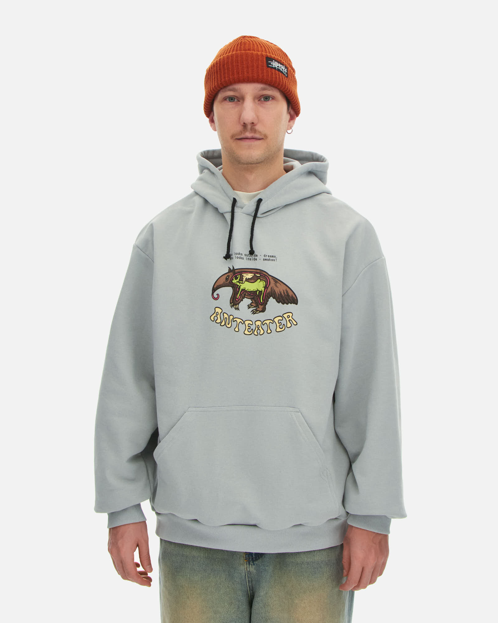 Толстовка Anteater Hoodie