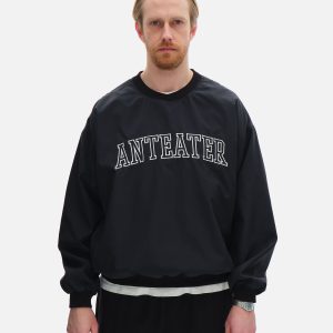 Толстовка Anteater Jersey