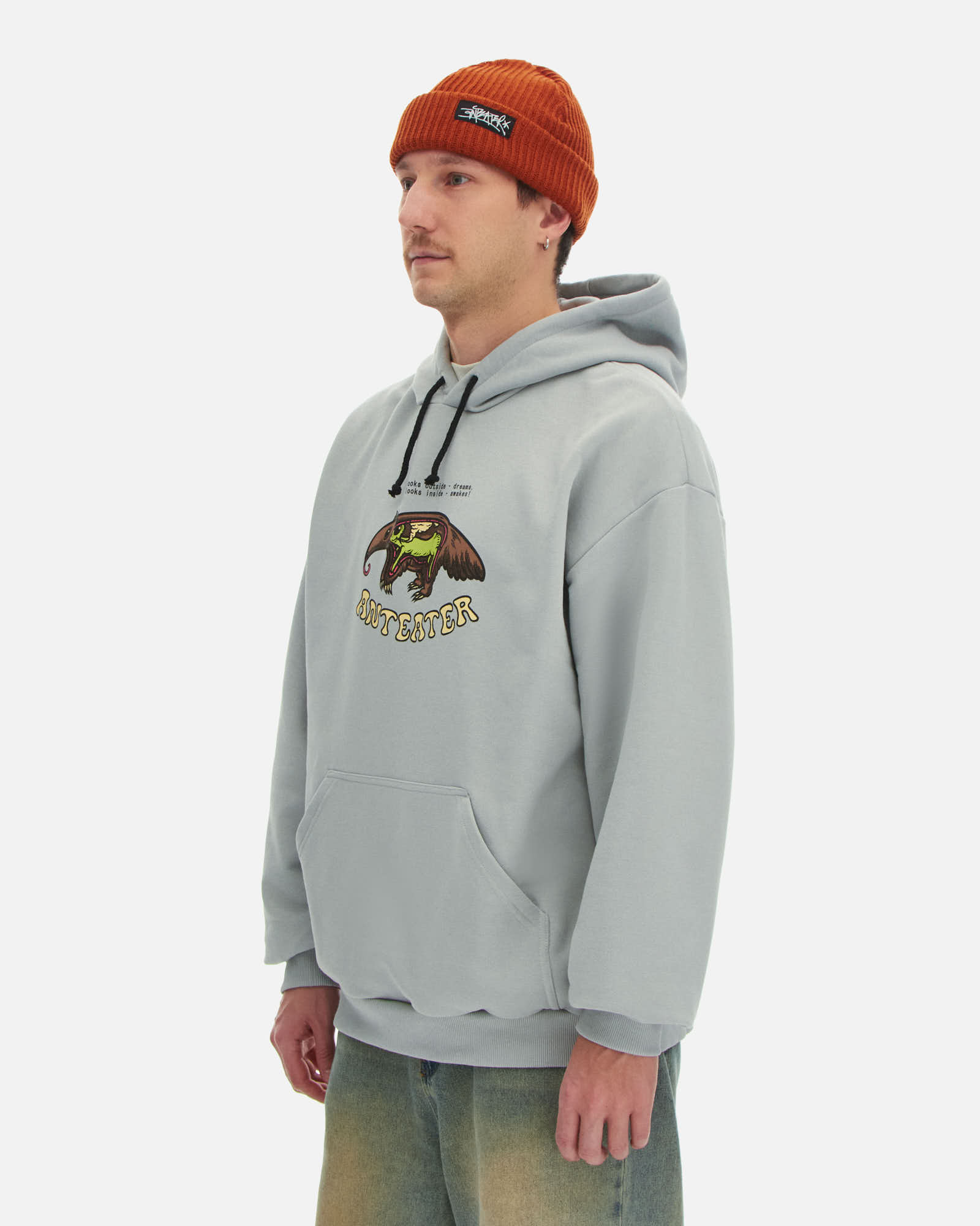 Толстовка Anteater Hoodie — изображение 2