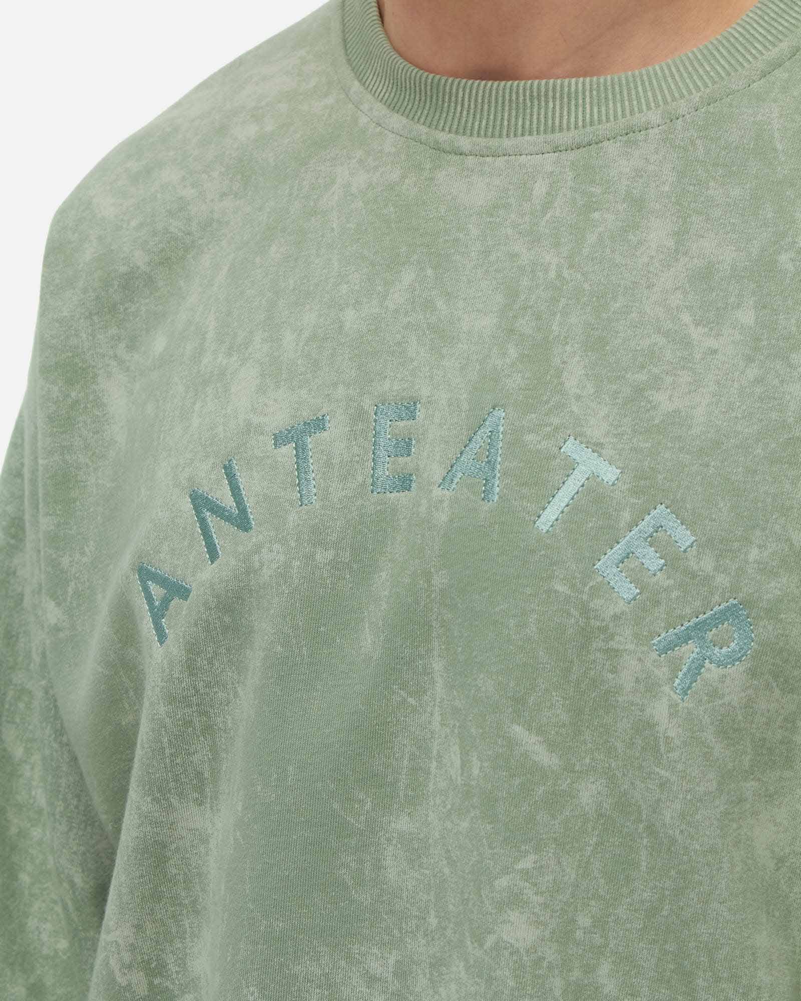 Толстовка Anteater Crewneck — изображение 3