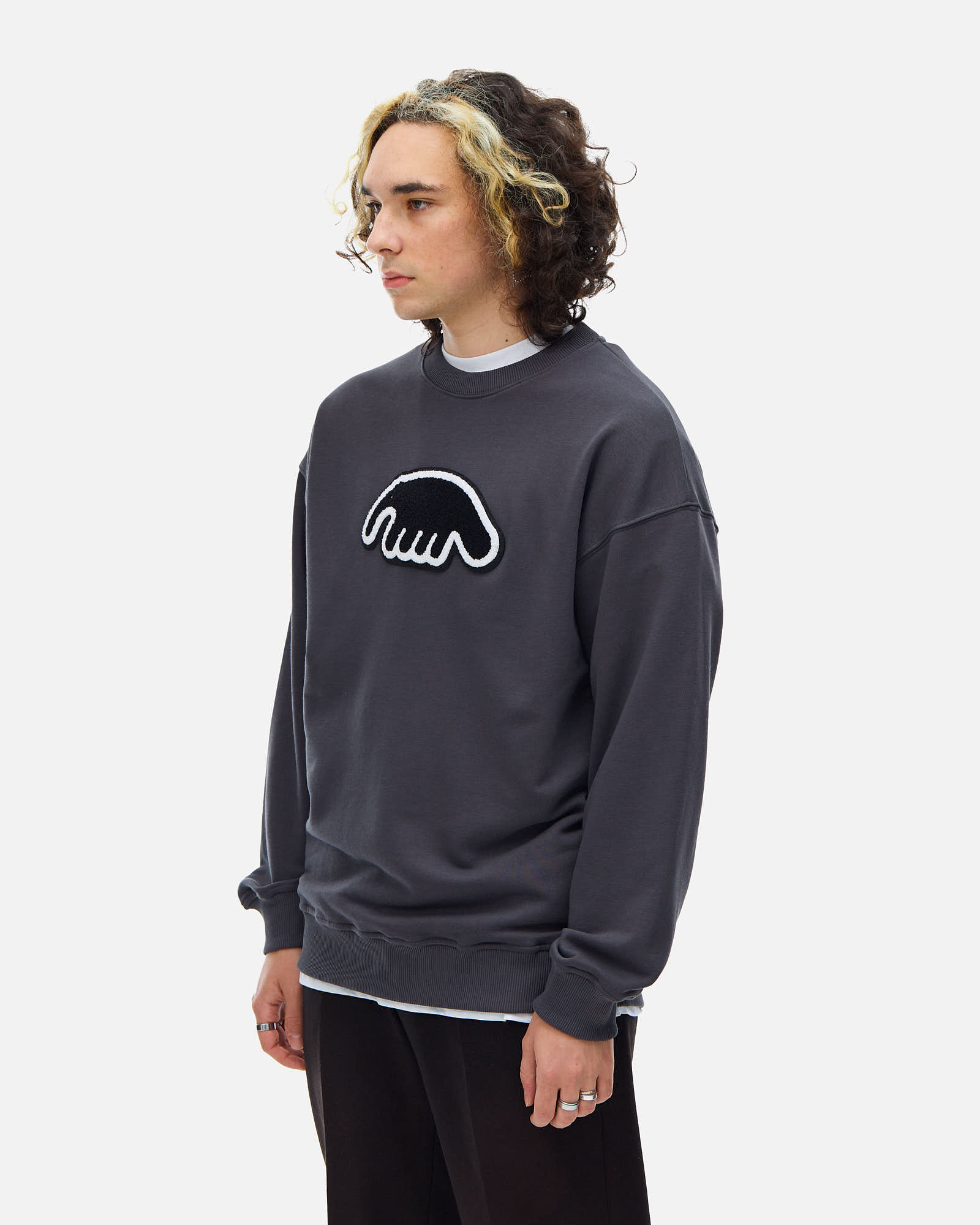 Толстовка Anteater Crewneck — изображение 2