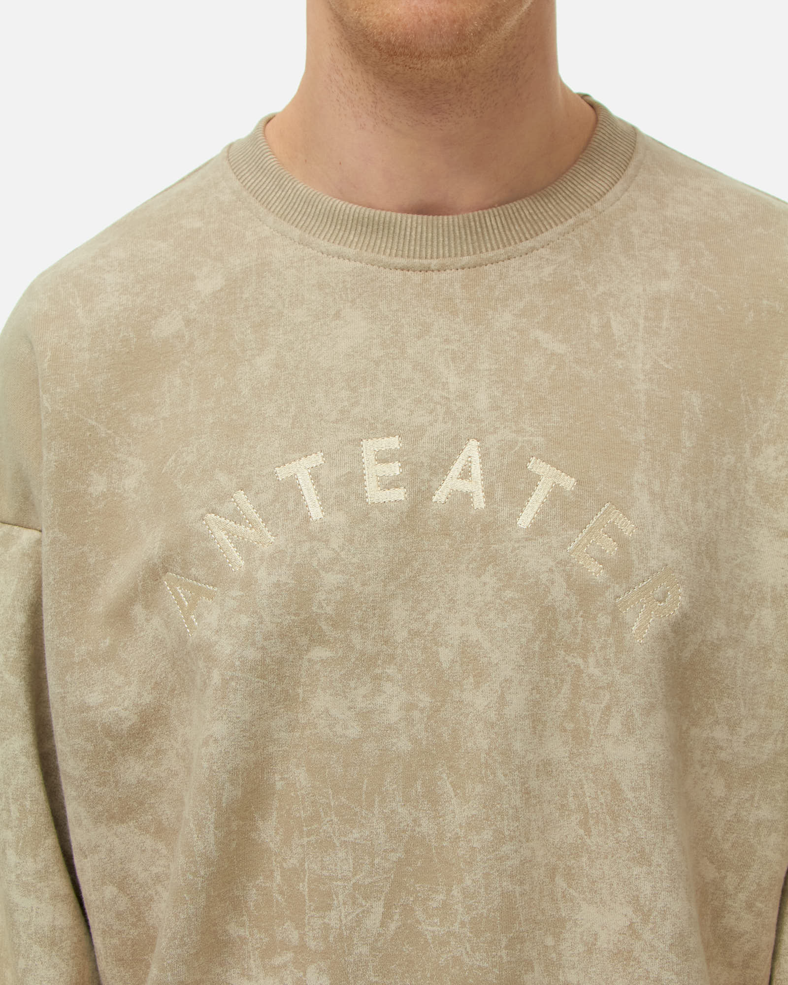Толстовка Anteater Crewneck — изображение 4