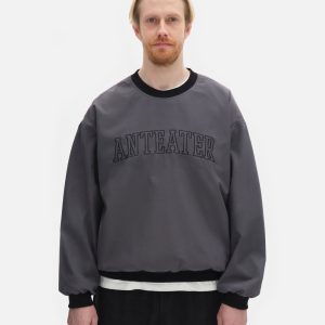 Толстовка Anteater Jersey