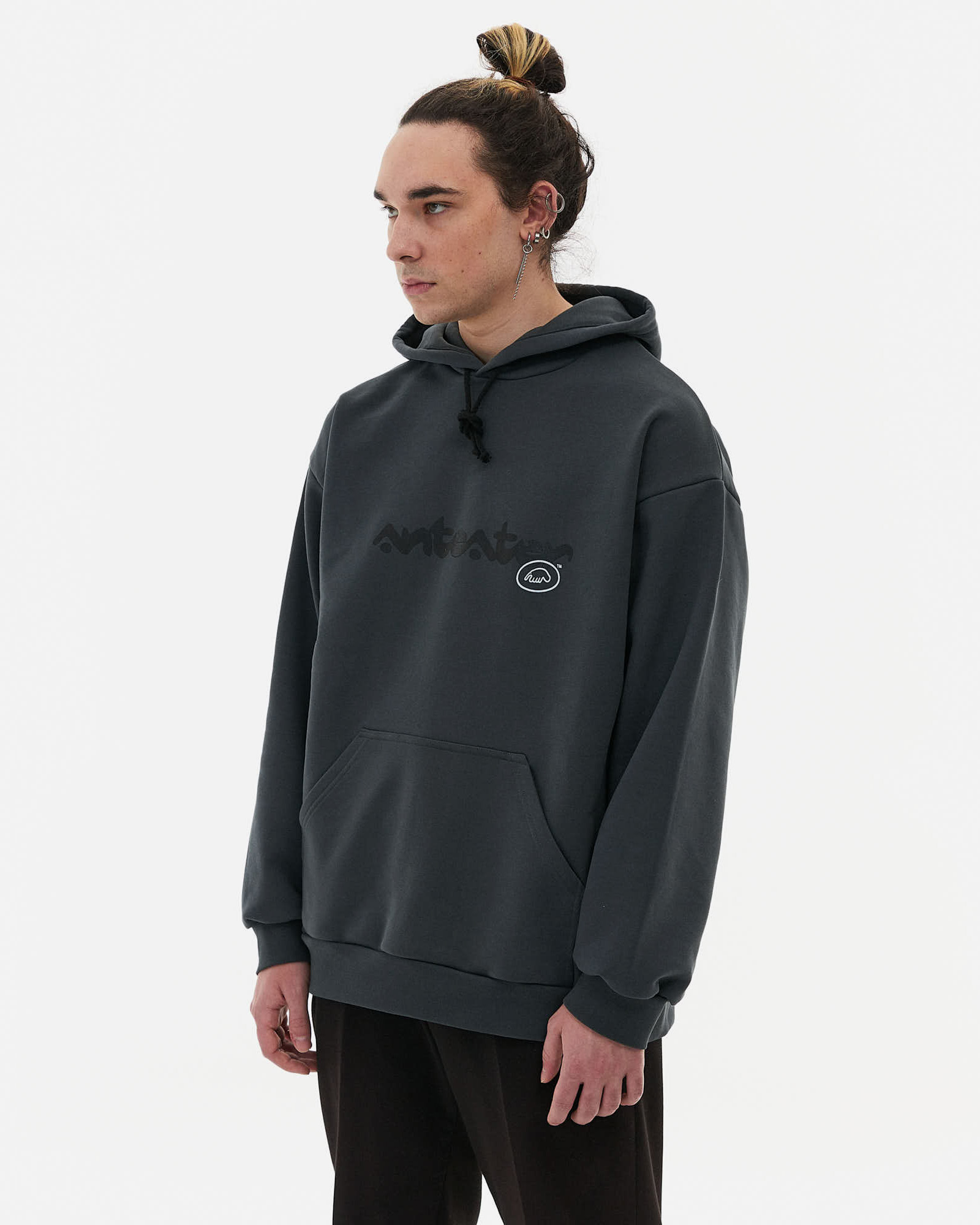 Толстовка Anteater Phat Hoodie — изображение 2