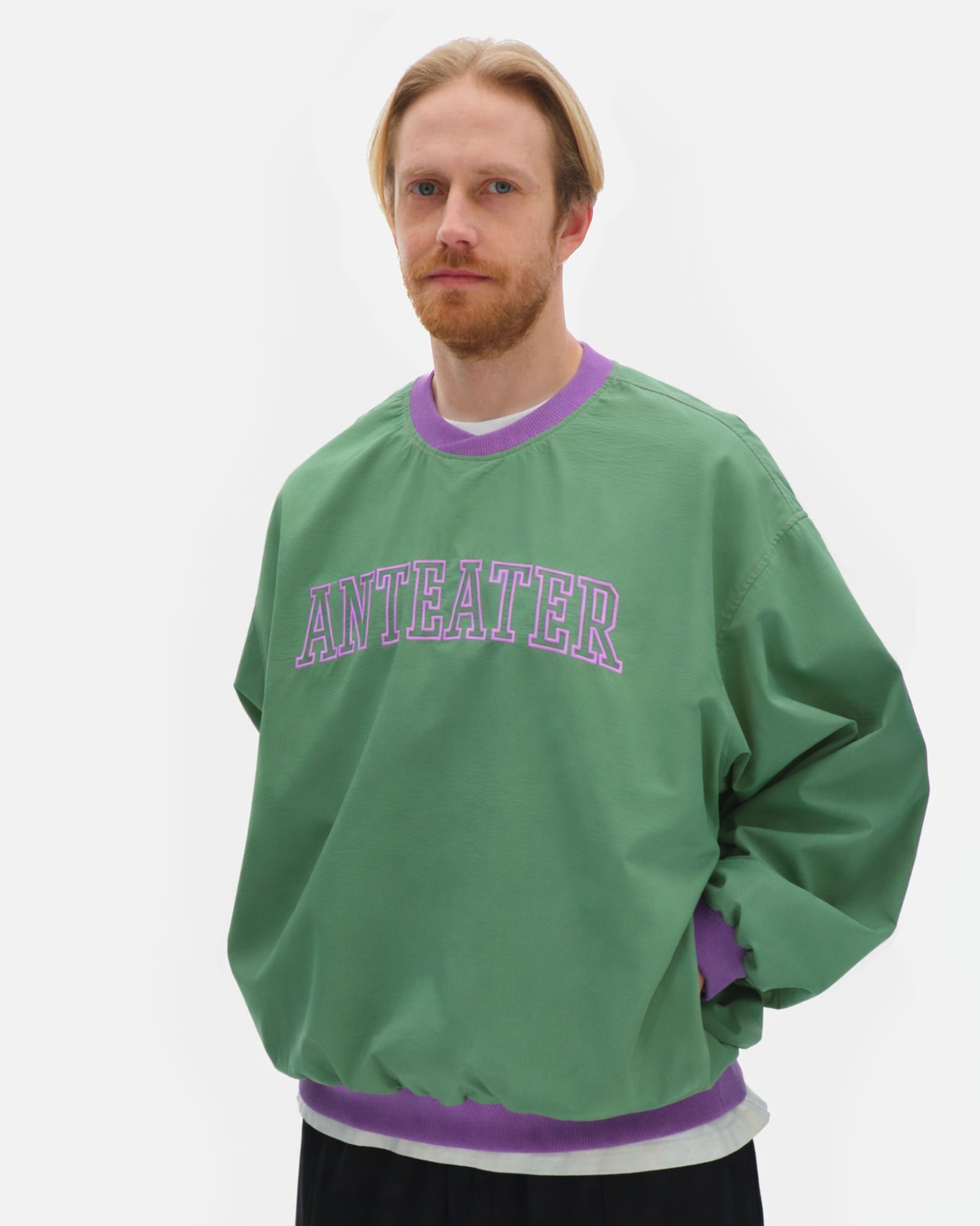 Толстовка Anteater Jersey — изображение 4