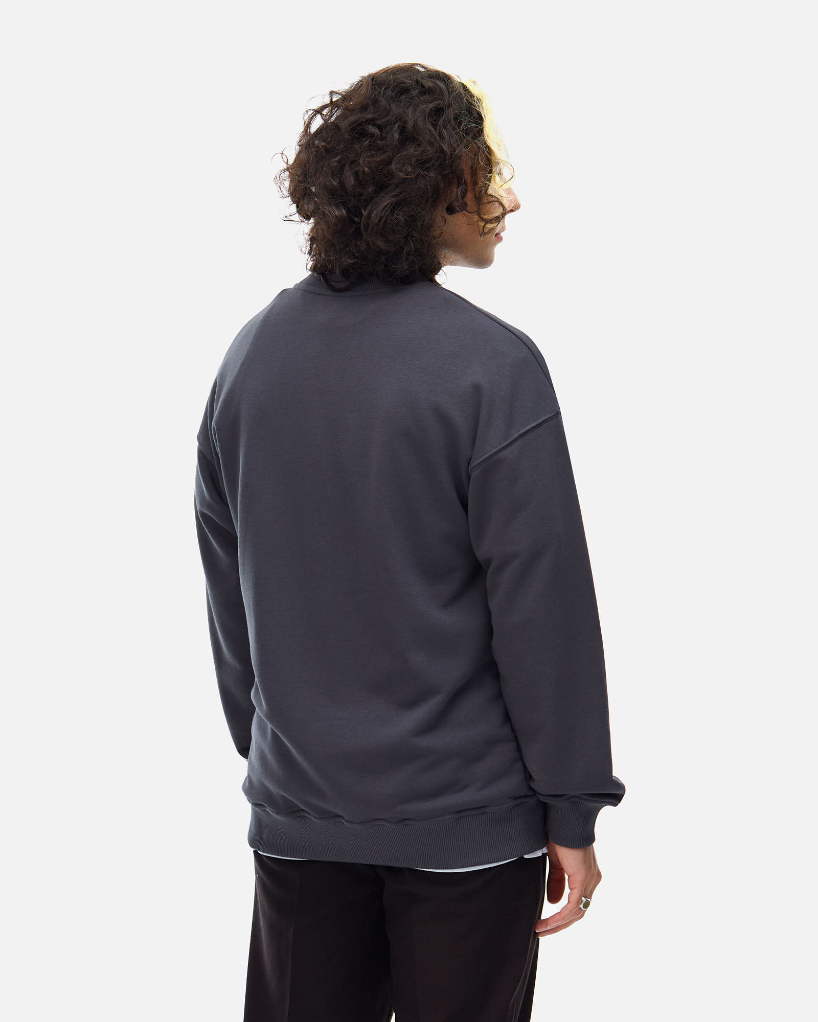 Толстовка Anteater Crewneck — изображение 3