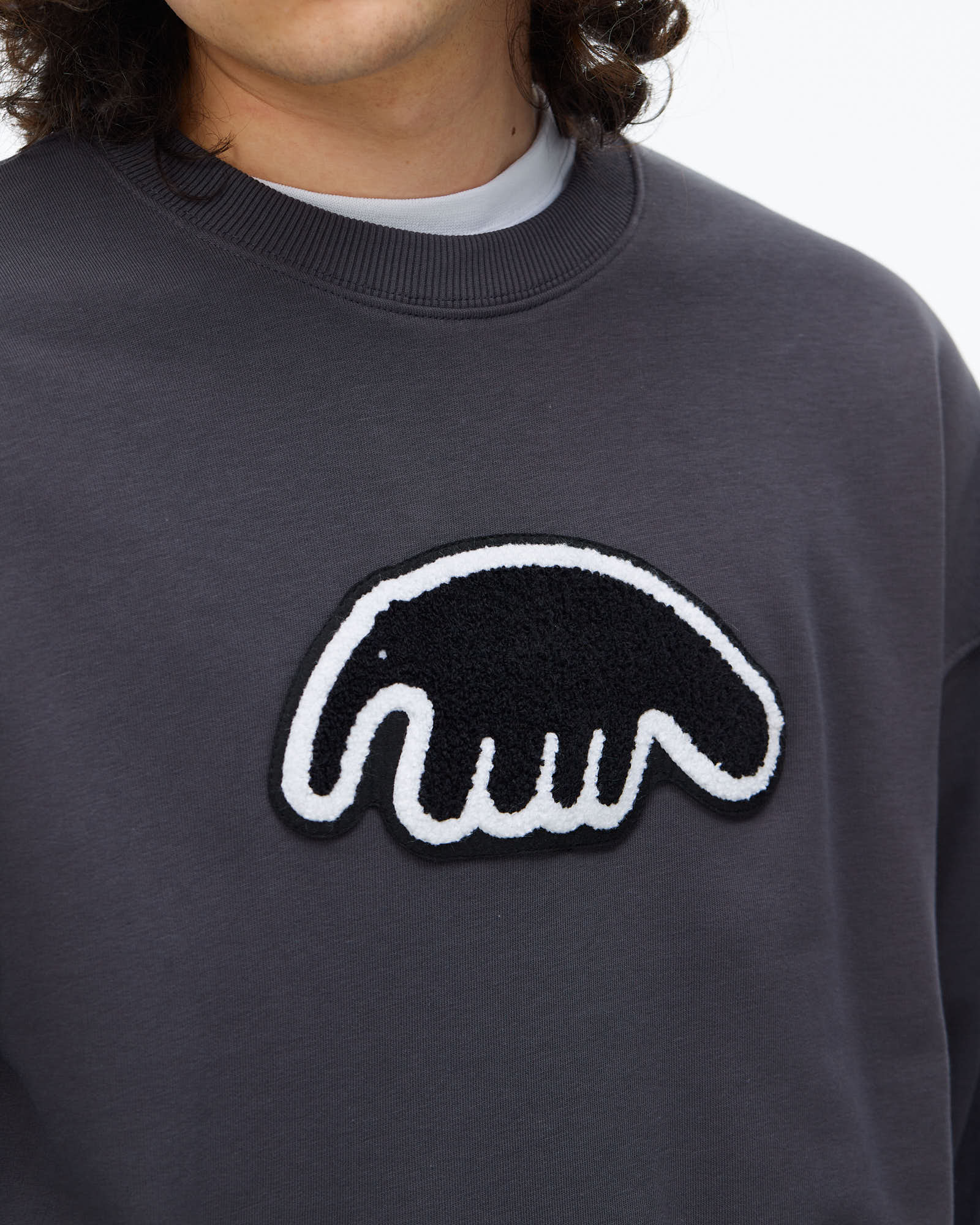 Толстовка Anteater Crewneck — изображение 4