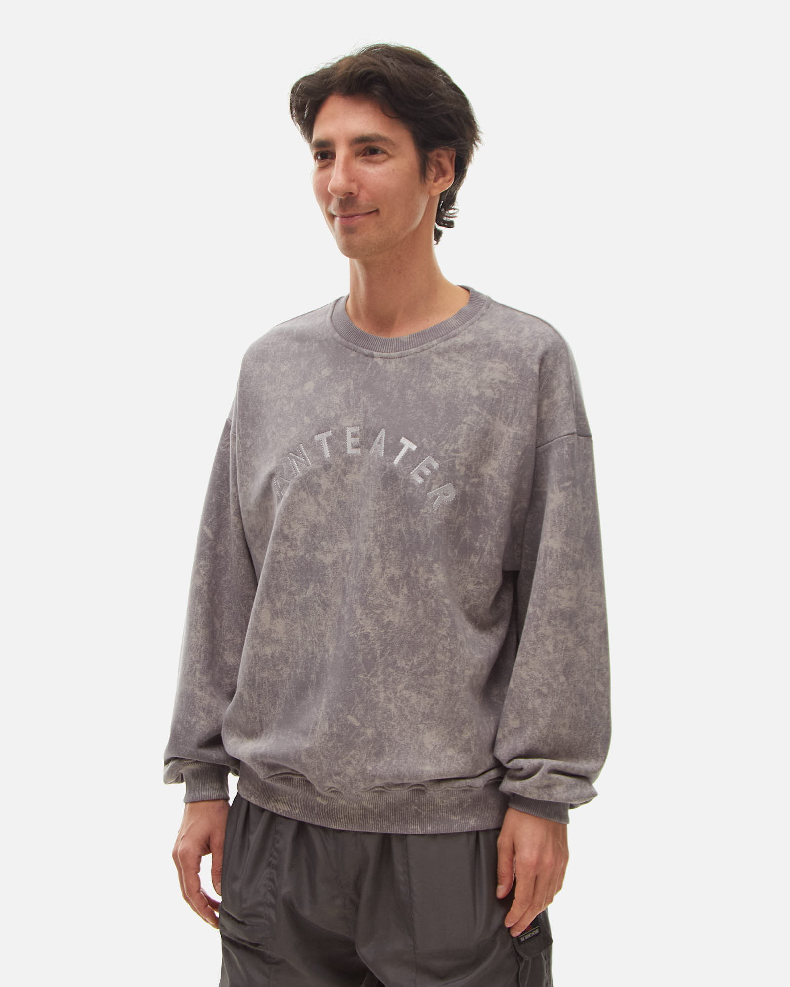 Толстовка Anteater Crewneck — изображение 2