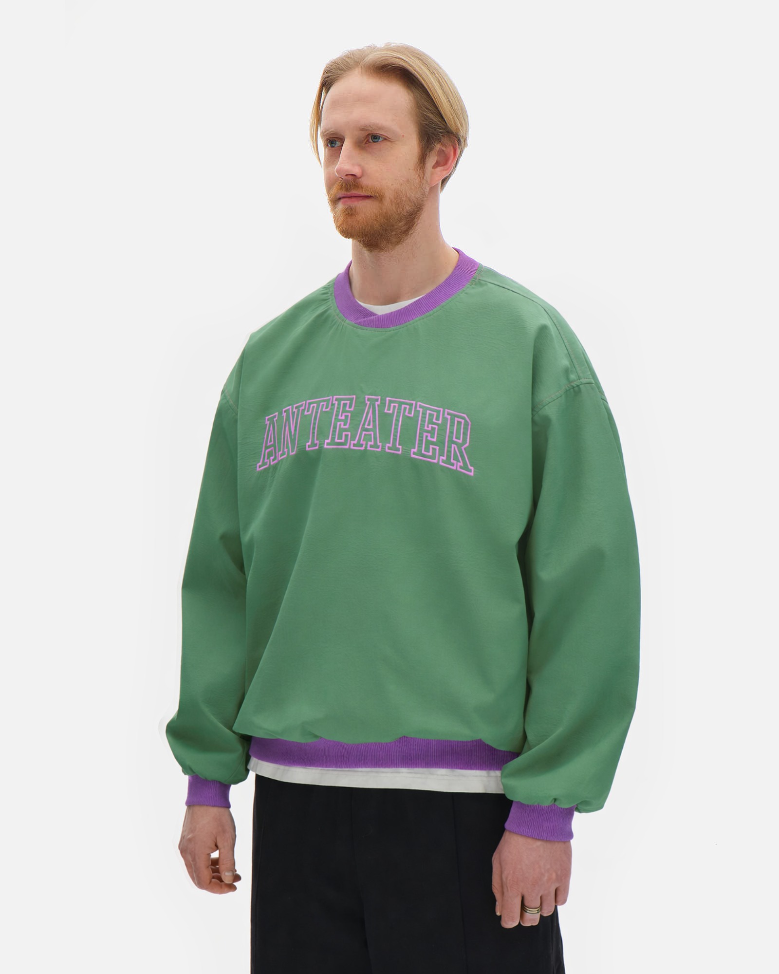 Толстовка Anteater Jersey — изображение 2