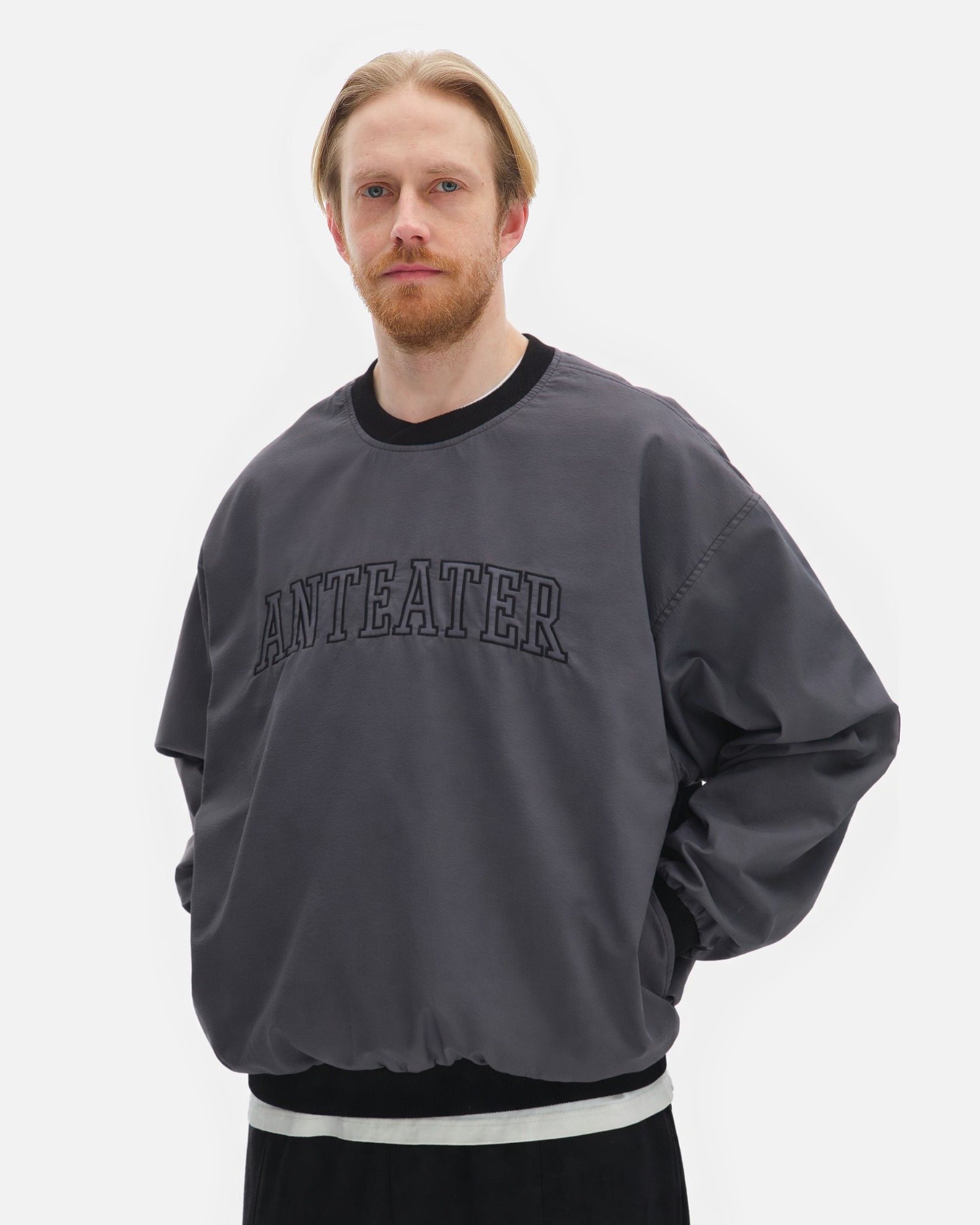 Толстовка Anteater Jersey — изображение 3