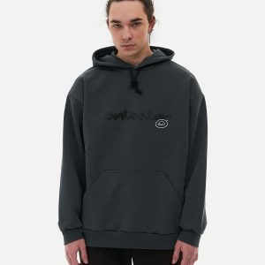 Толстовка Anteater Phat Hoodie